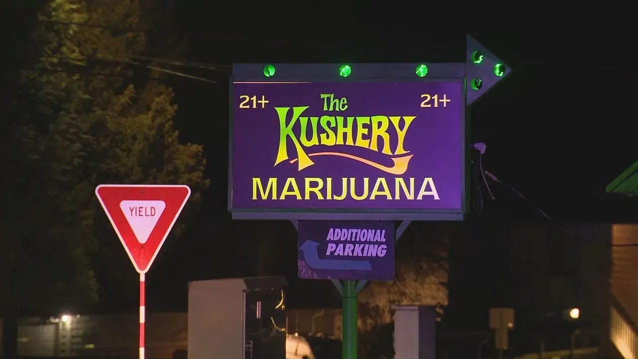 Washington Cannabis Sales Decline for Fifth Straight Year as Oversupply Drives Down Prices