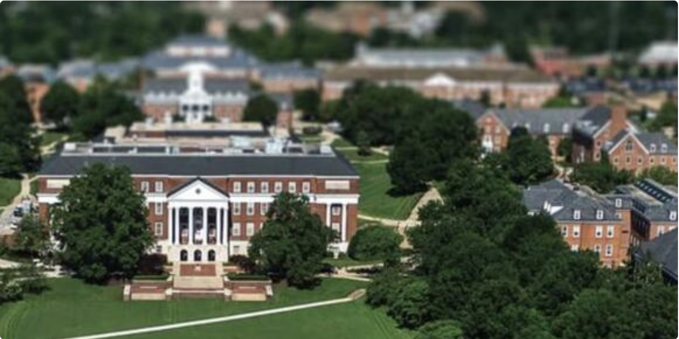 Body Lice Detected at University of Maryland, Students Advised to Remain Cautious